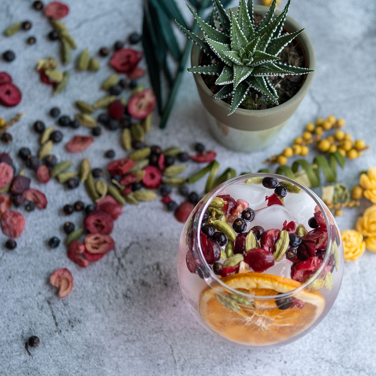 gin and tonic with a glass filled with ice, garnish pieces on the ground and a small succulent